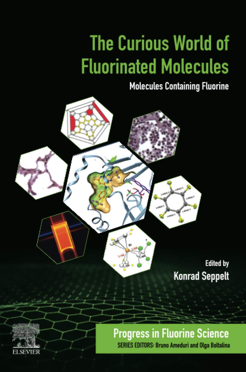 The Curious World of Fluorinated Molecules: Molecules Containing Fluorine (Volume 6) (Progress in Fluorine Science, Volume 6),Used