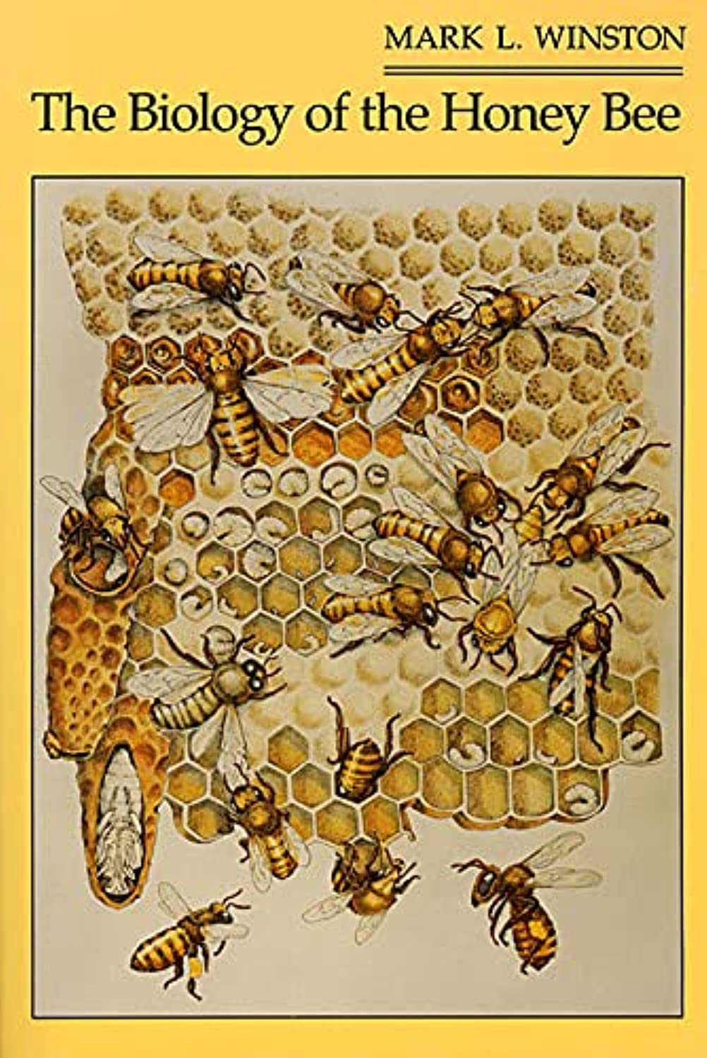 The Biology Of The Honey Bee,New