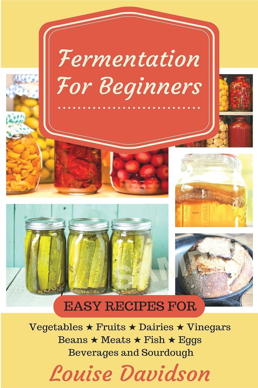 Fermentation for Beginners: Easy Recipes for Vegetables, Fruits, Dairies, Vinegars, Beans, Meats, fish, Eggs, Beverages and Sour,Used