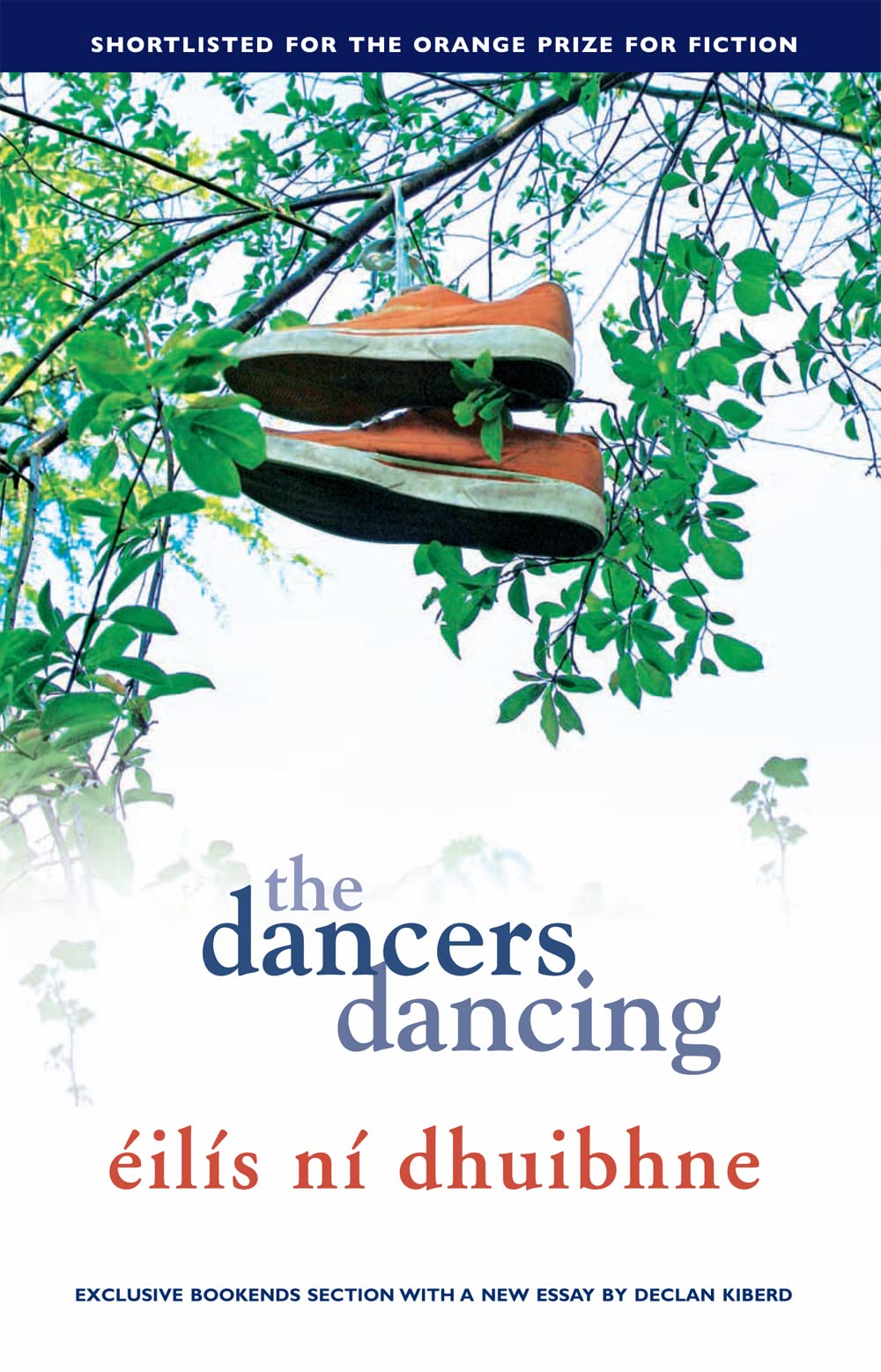 The Dancers Dancing: A powerful comingofage novel,Used