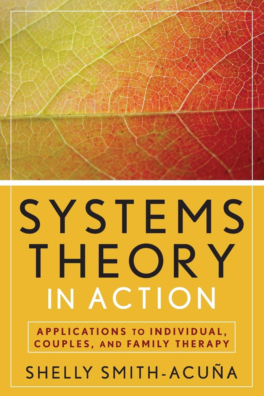 Systems Theory in Action: Applications to Individual, Couple, and Family Therapy,New
