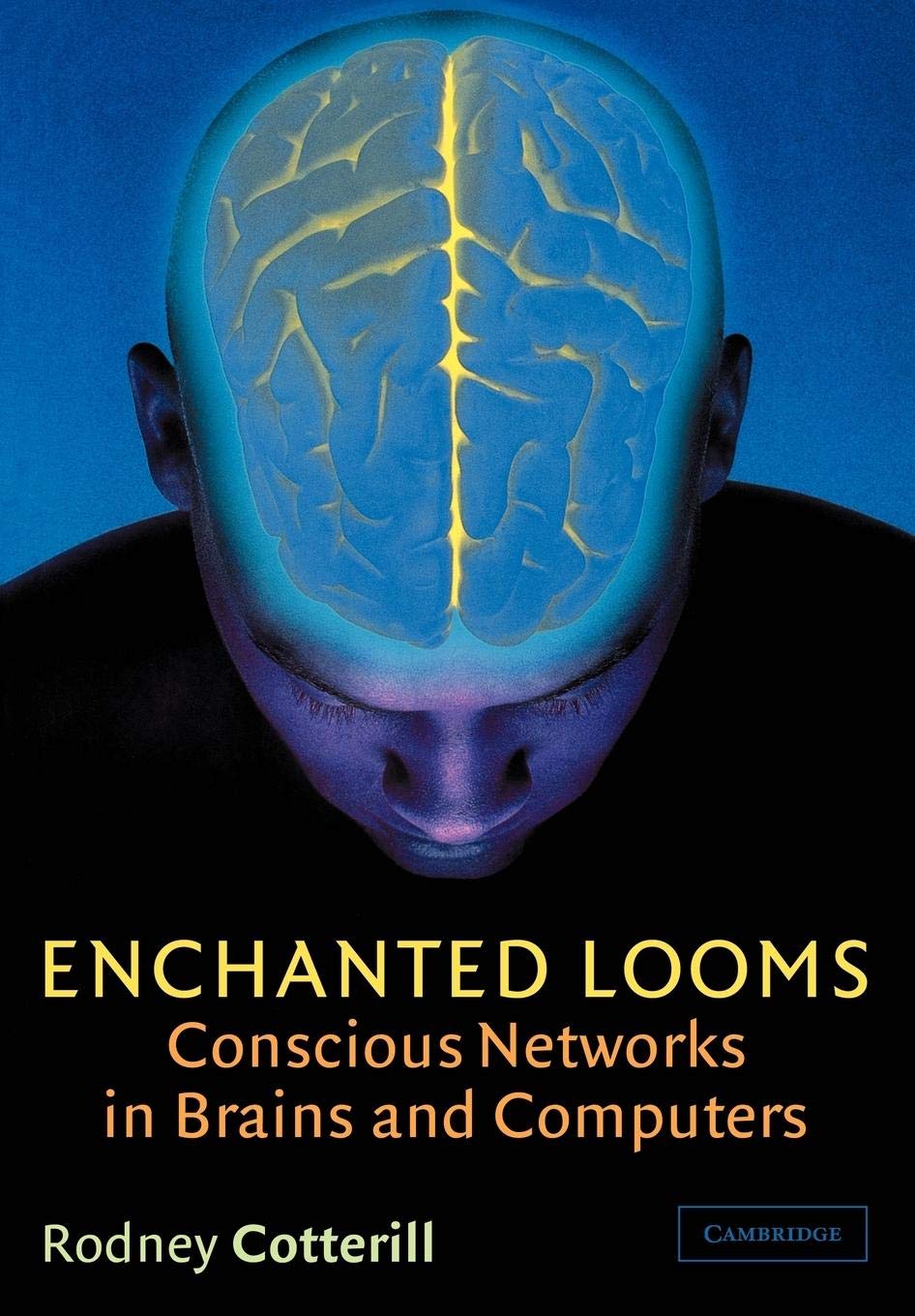 Enchanted Looms: Conscious Networks in Brains and Computers,Used