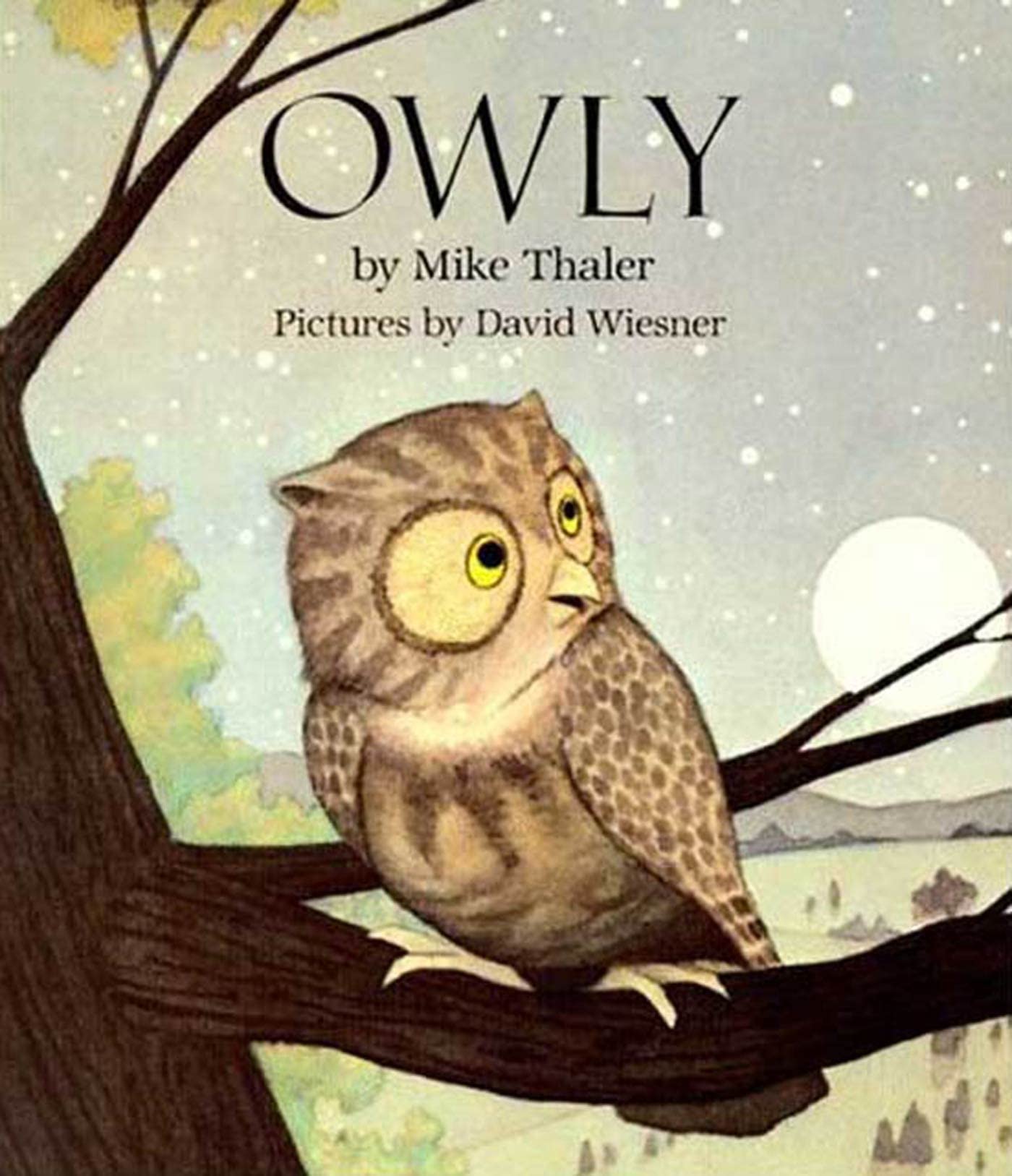 Owly,Used