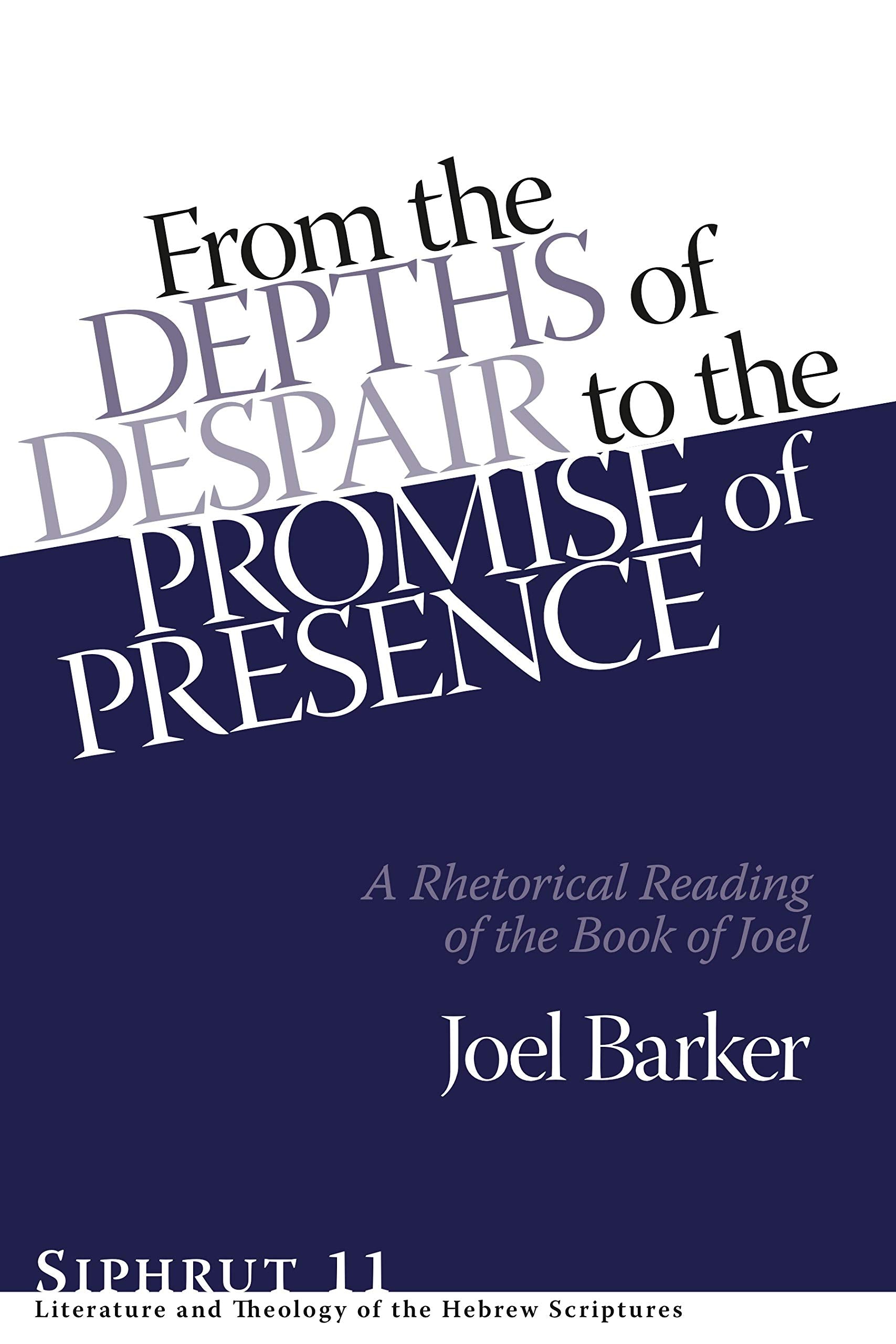 From the Depths of Despair to the Promise of Presence: A Rhetorical Reading of the Book of Joel (Siphrut: Literature and Theolog,Used