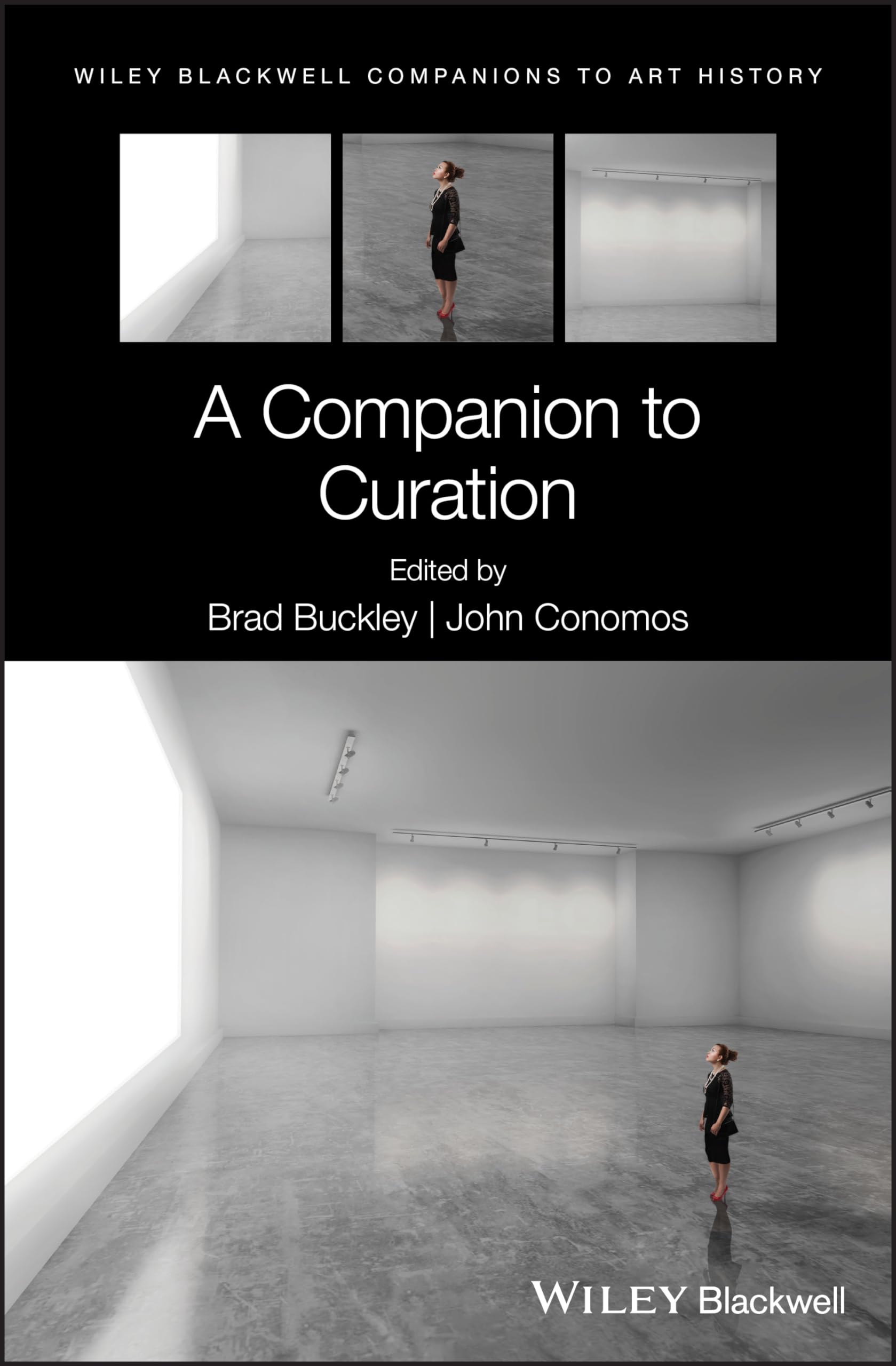 A Companion to Curation (Blackwell Companions to Art History),Used