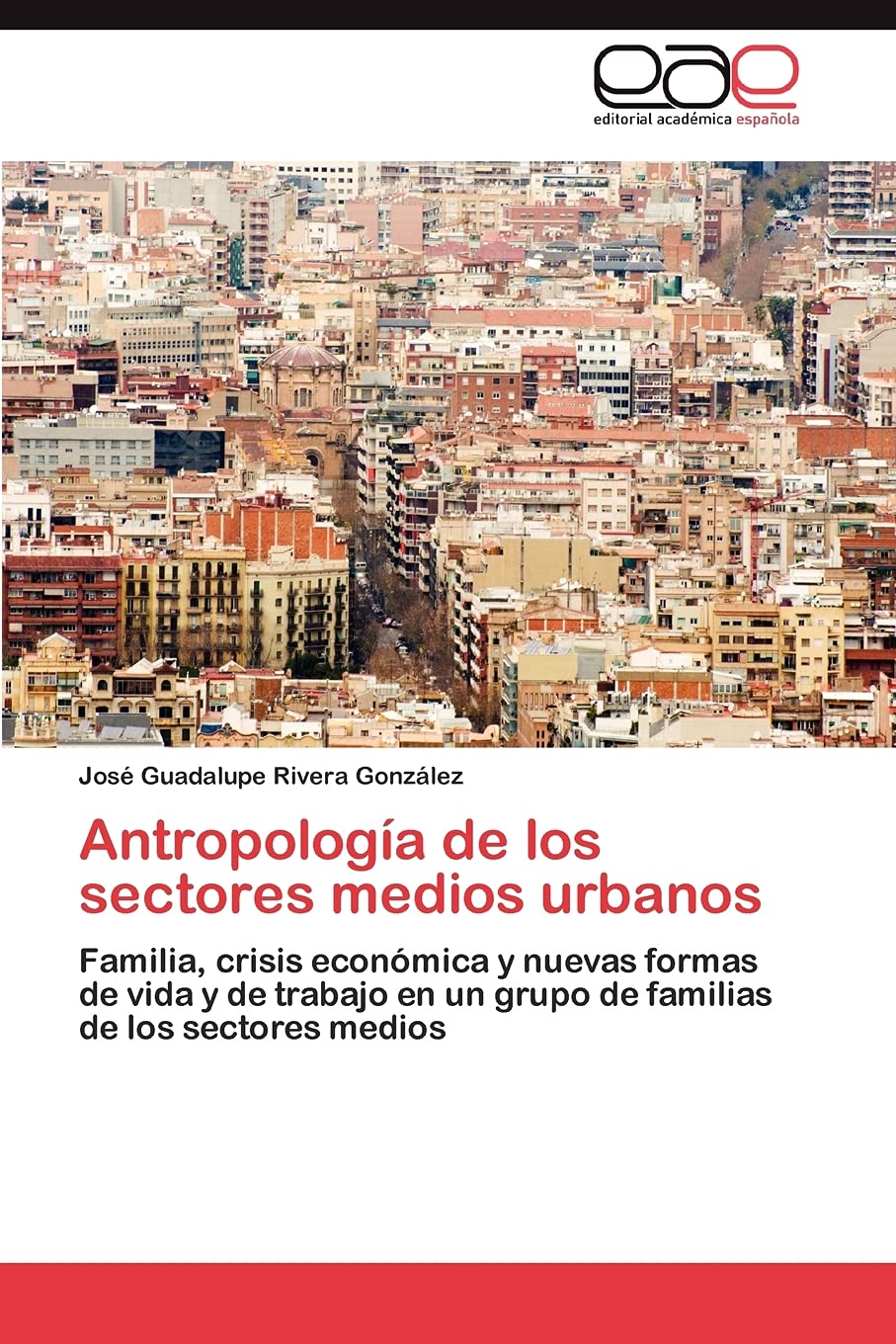 Antropologa de los sectores medios urbanos: Familia, crisis econmica y nuevas formas de vida y de trabajo en un grupo de fam,Used