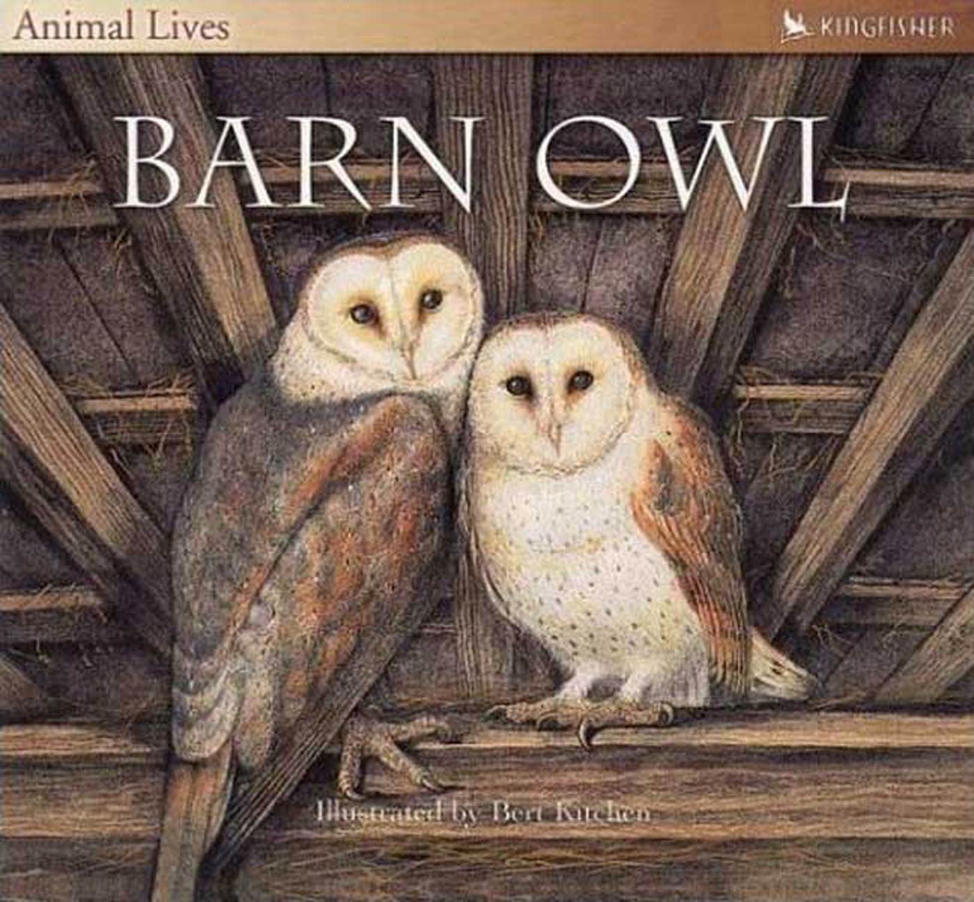 The Barn Owl (Animal Lives),New