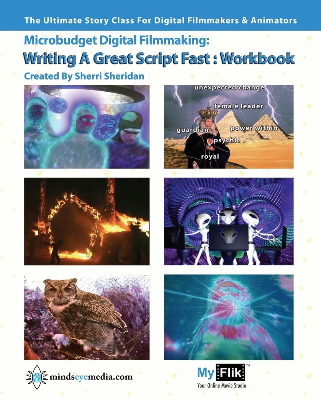 Writing A Great Script Fast Workbook: Story For Digital Filmmaking,Used