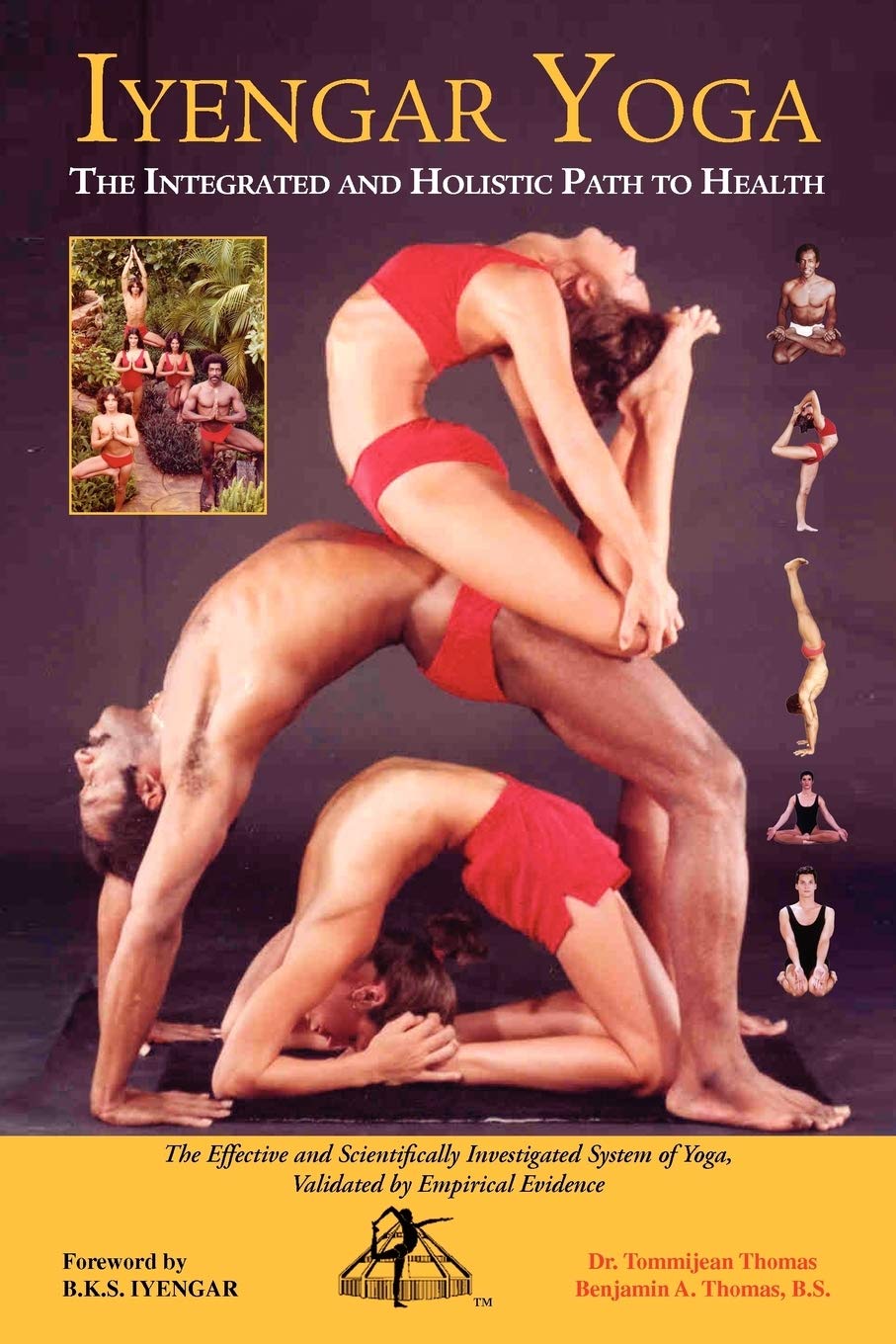 Iyengar Yoga The Integrated And Holistic Path To Health: The Effective And Scientifically Investigated System Of Yoga,
