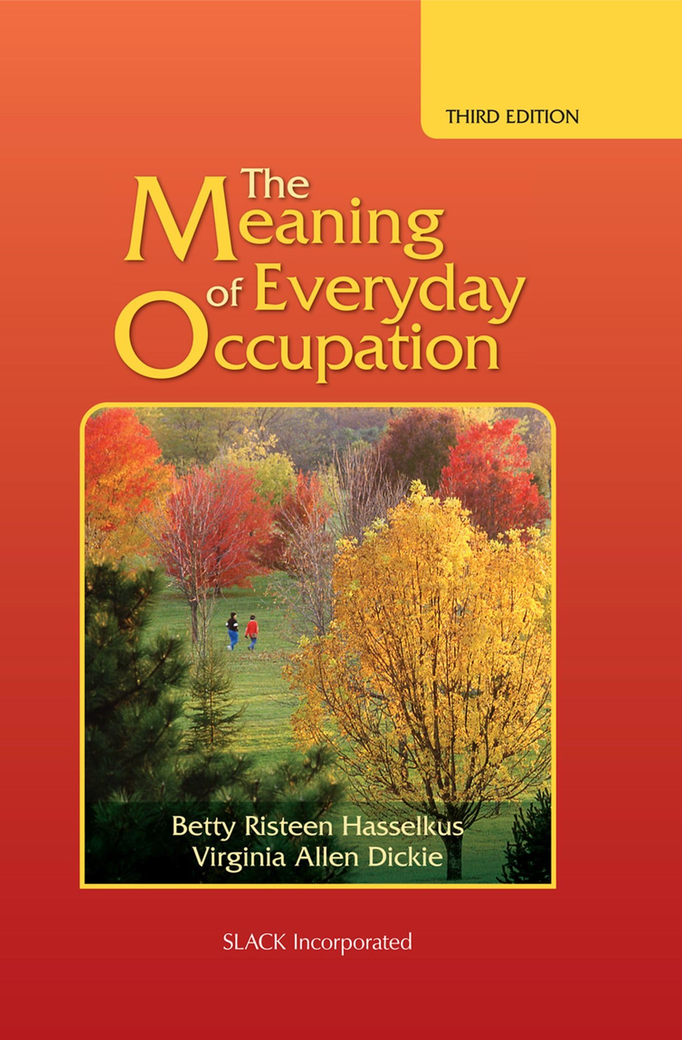 The Meaning of Everyday Occupation,Used