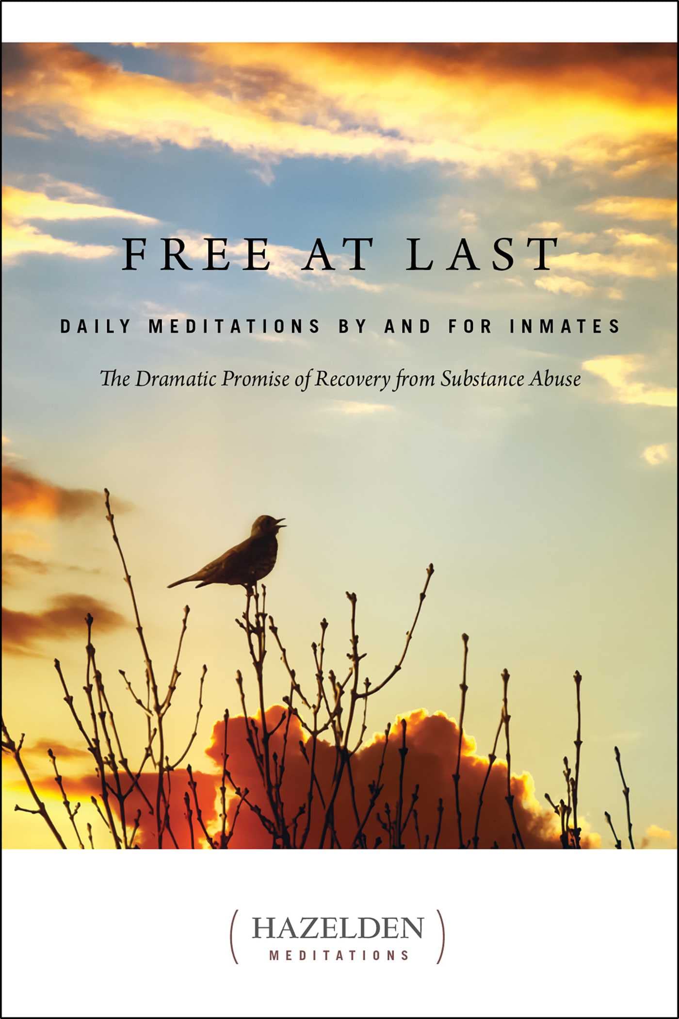 Free at Last: Daily Meditations by and for Inmates (A Parkside Meditation Book),Used