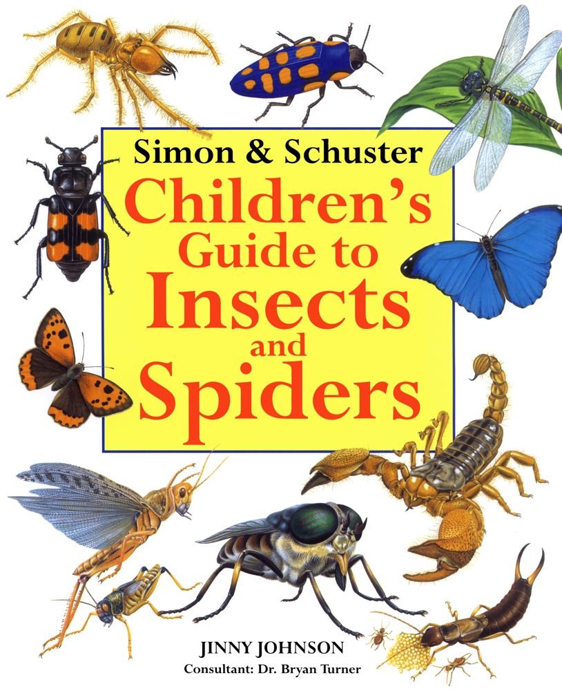 Simon & Schuster Children'S Guide To Insects And Spiders,New