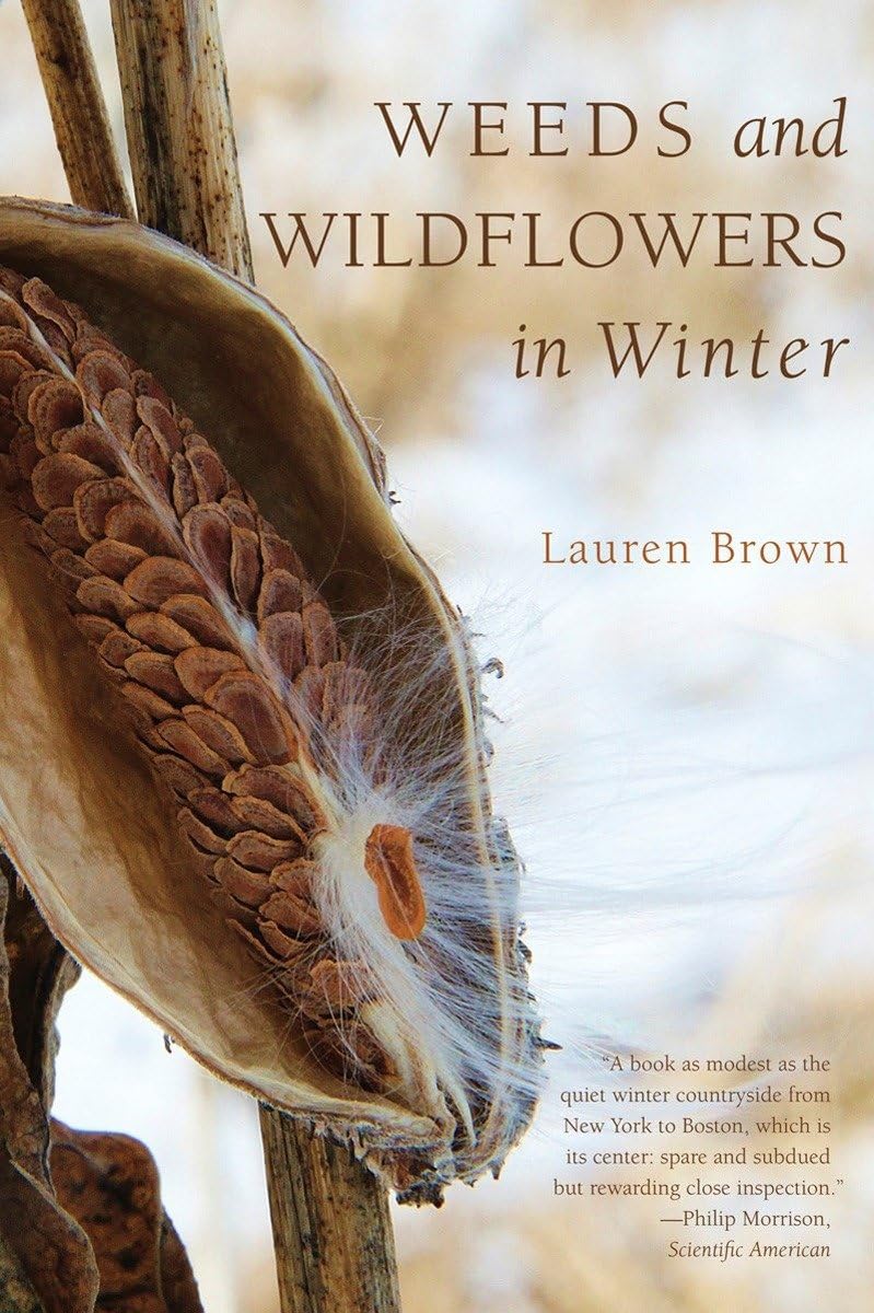 Weeds and Wildflowers in Winter,Used