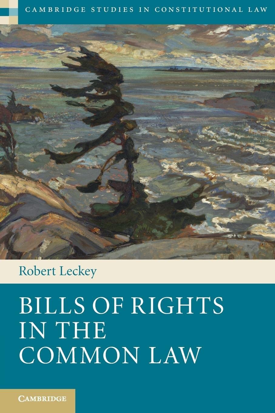 Bills of Rights in the Common Law (Cambridge Studies in Constitutional Law, Series Number 13),Used