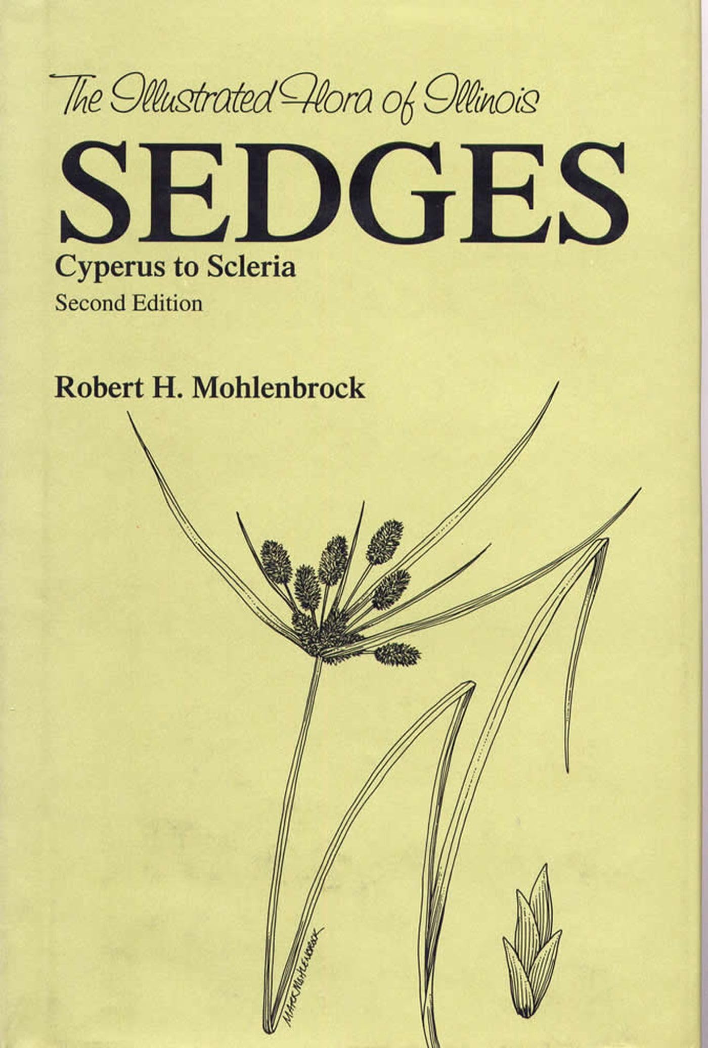 Sedges: Cyperus To Scleria (The Illustrated Flora Of Illinois),Used