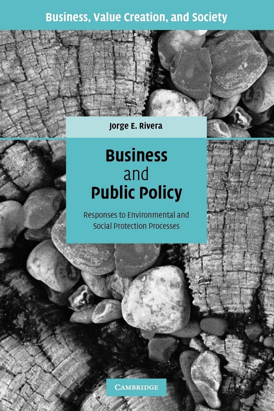 Business and Public Policy: Responses to Environmental and Social Protection Processes (Business, Value Creation, and Society),New