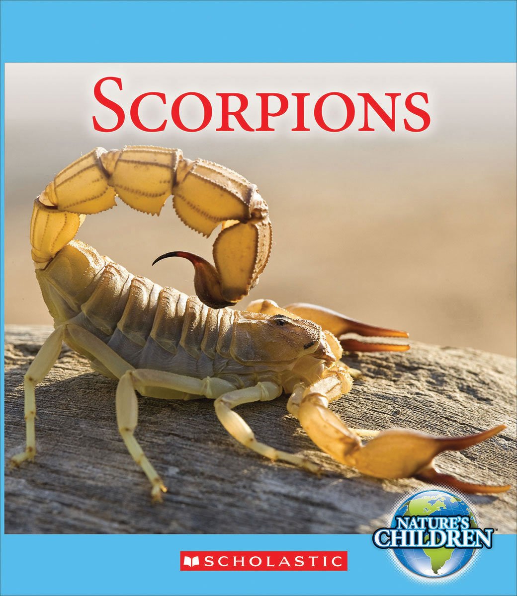 Scorpions (Nature's Children) (Library Edition),Used