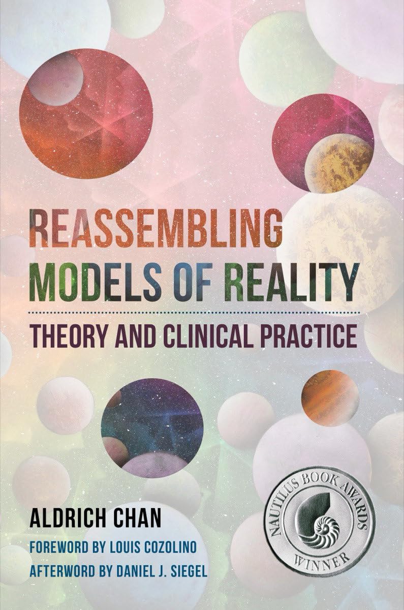 Reassembling Models of Reality: Theory and Clinical Practice (Norton Series on Interpersonal Neurobiology),Used