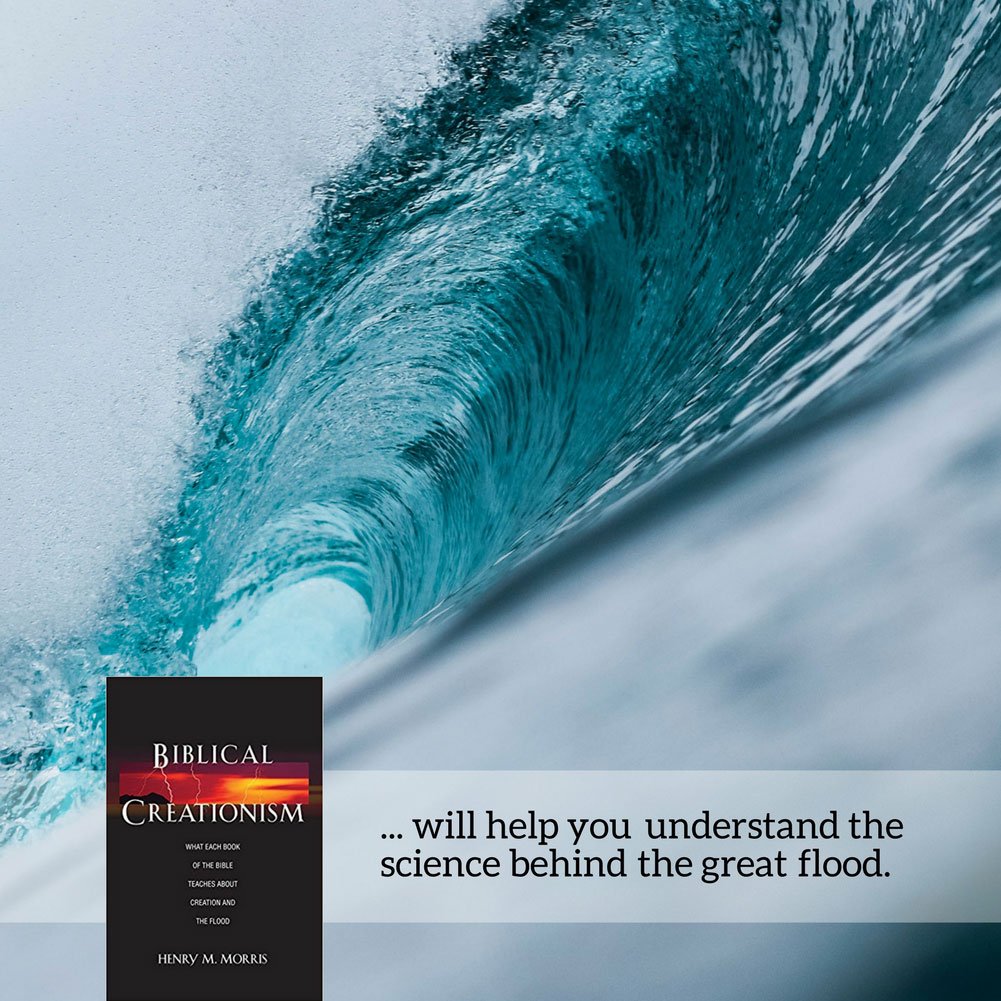 Biblical Creationism: What Each Book of the Bible Teaches About Creation & the Flood,Used