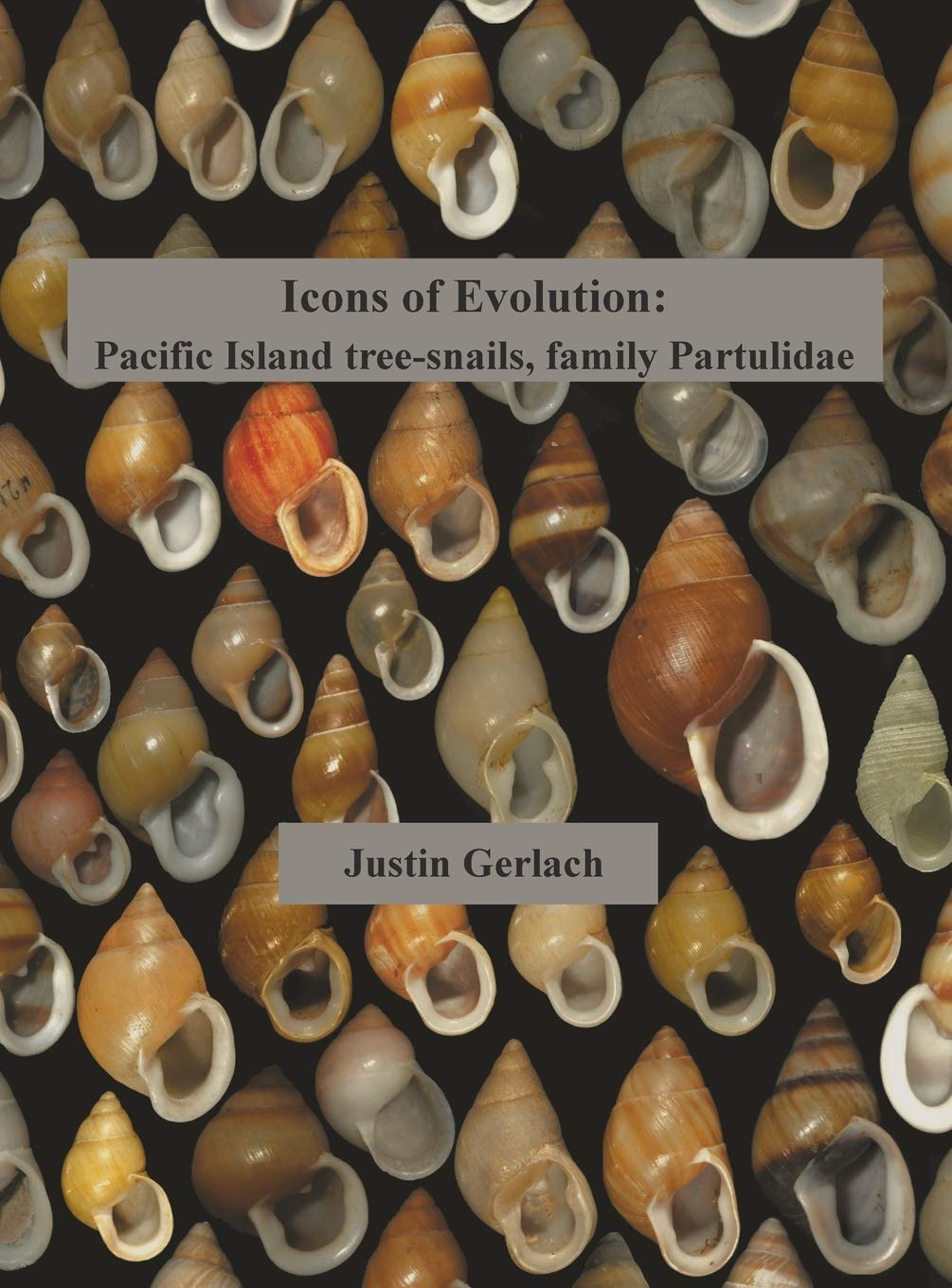 Icons of Evolution: Pacific Island treesnails of the family Partulidae,Used