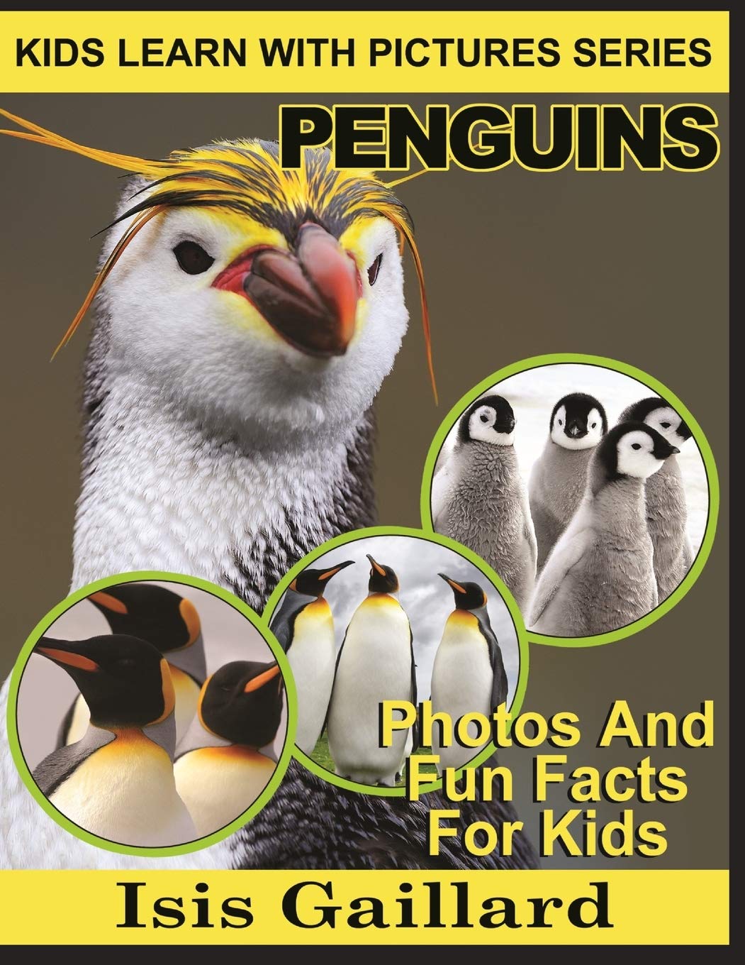 Penguins: Photos and Fun Facts for Kids (Kids Learn With Pictures),Used
