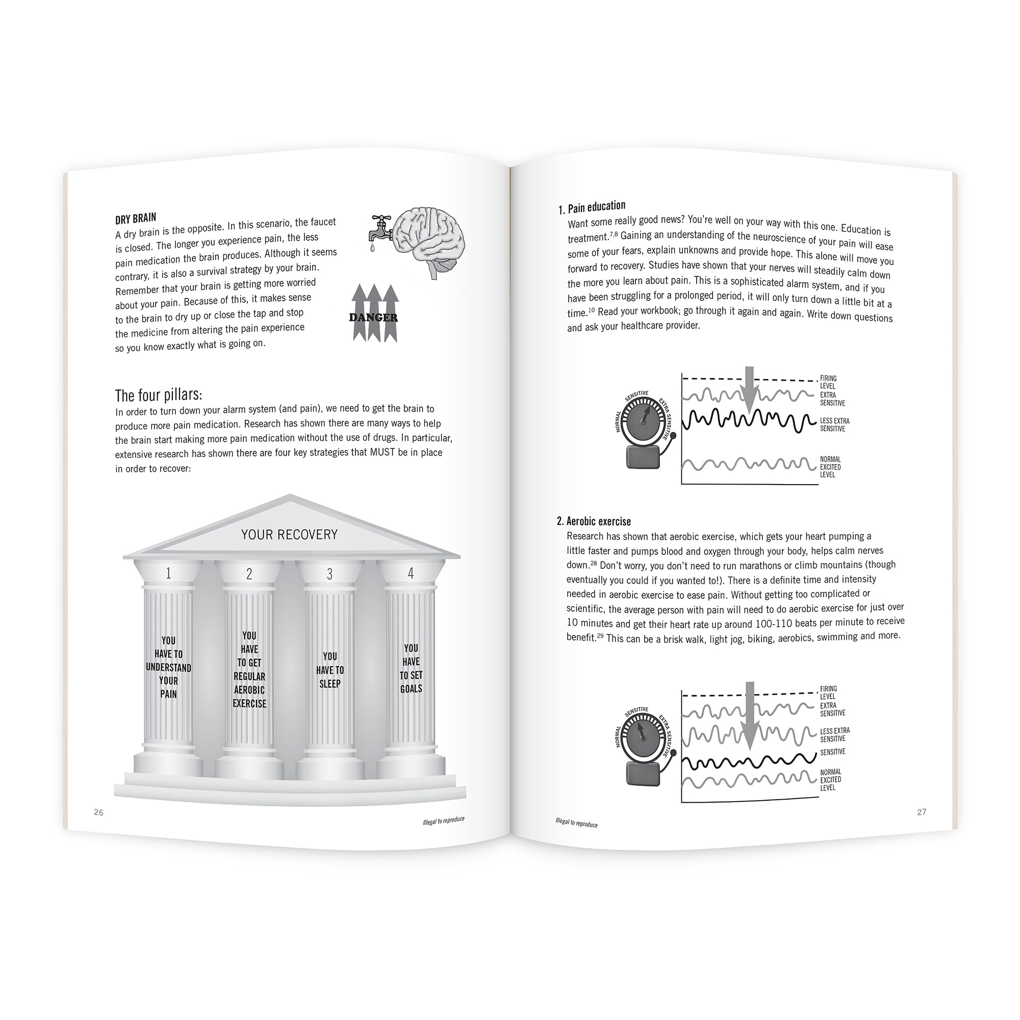 Why Do I Hurt? Workbook: Neuroscience Education Workbook for Patients with Pain,Used