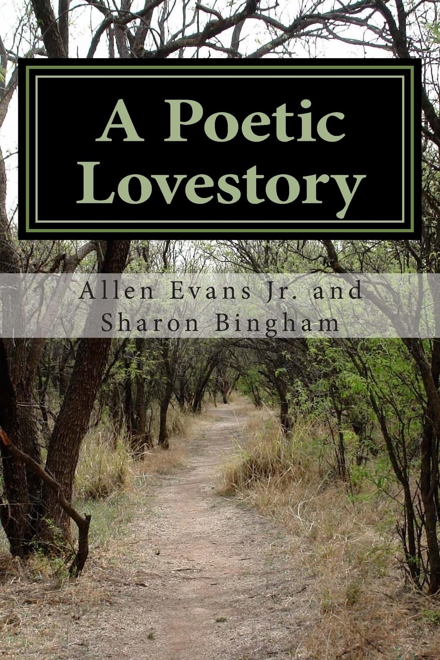 A Poetic Lovestory: A Book of Poetry,Used