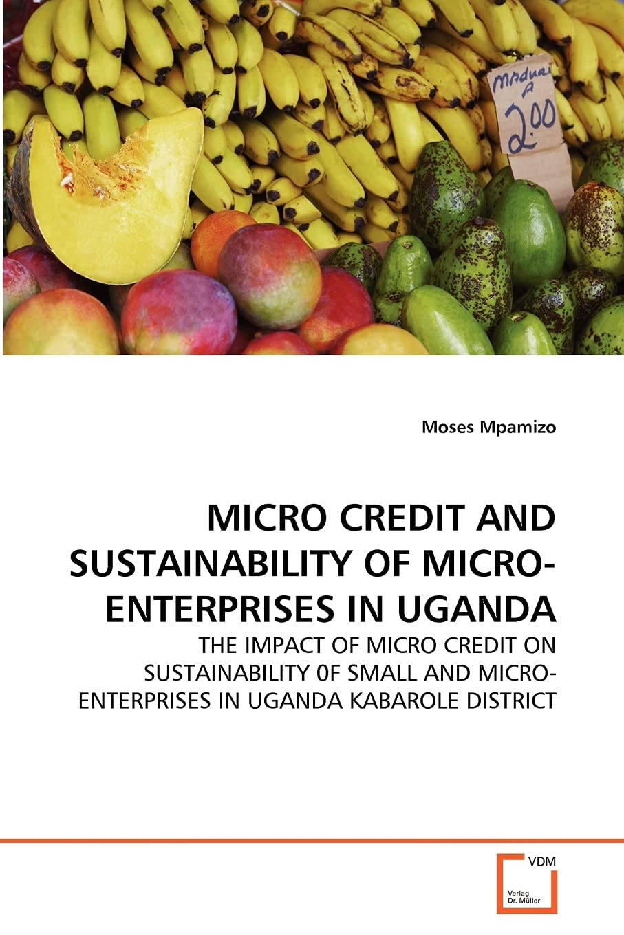 MICRO CREDIT AND SUSTAINABILITY OF MICROENTERPRISES IN UGANDA: THE IMPACT OF MICRO CREDIT ON SUSTAINABILITY 0F SMALL AND MICRO,Used