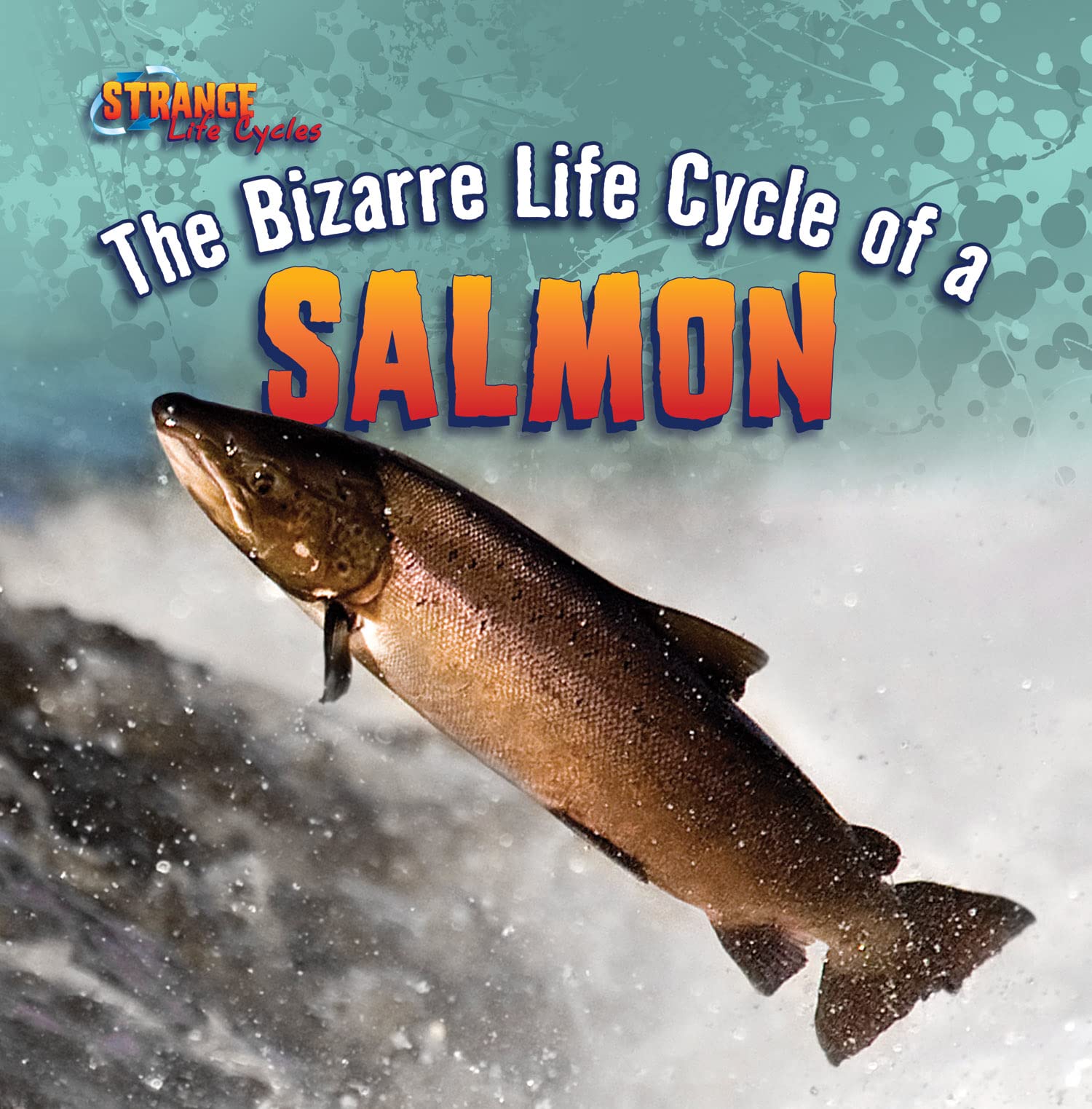 The Bizarre Life Cycle of a Salmon (Strange Life Cycles),Used