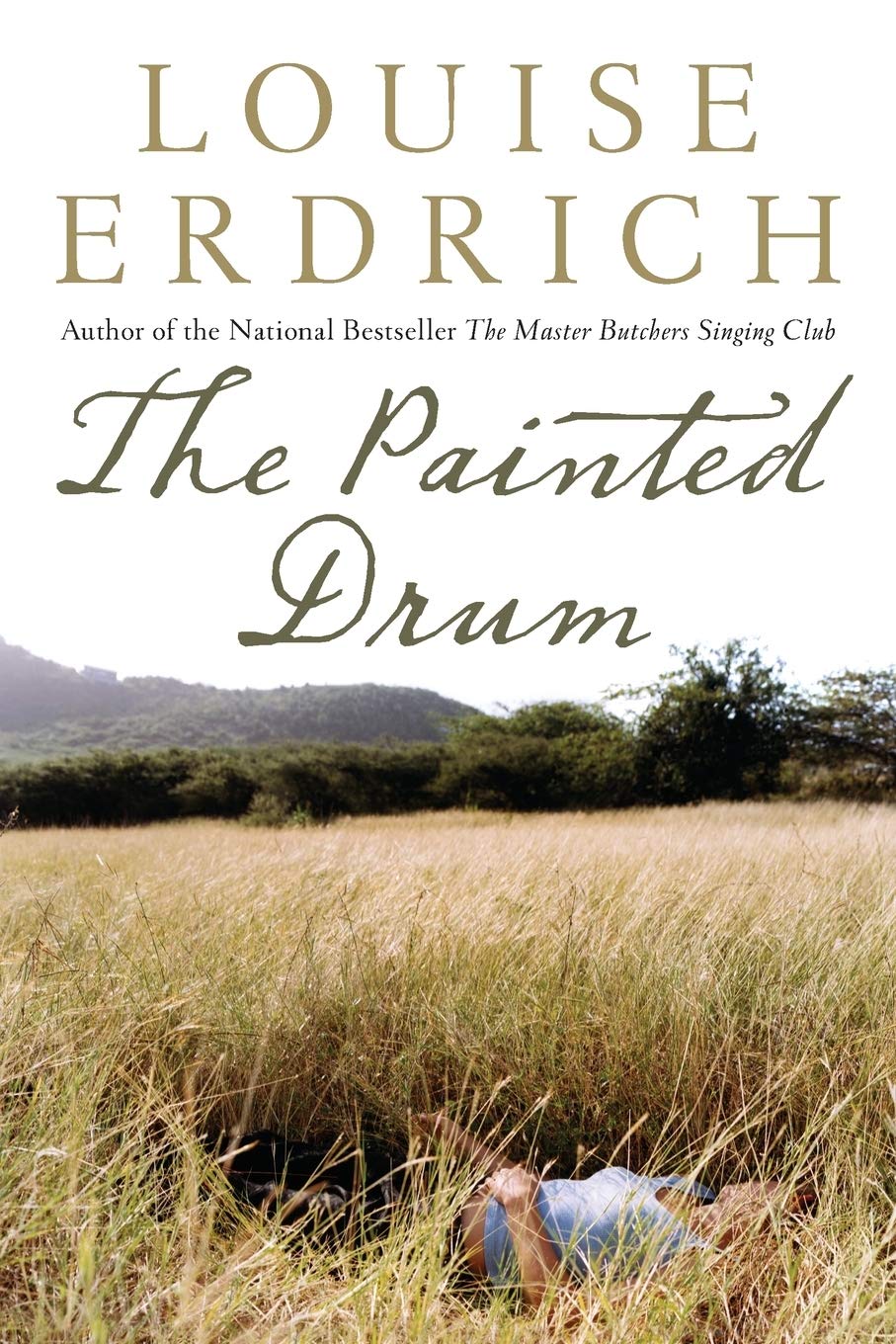 The Painted Drum (Thorndike Distribution Large Print),Used