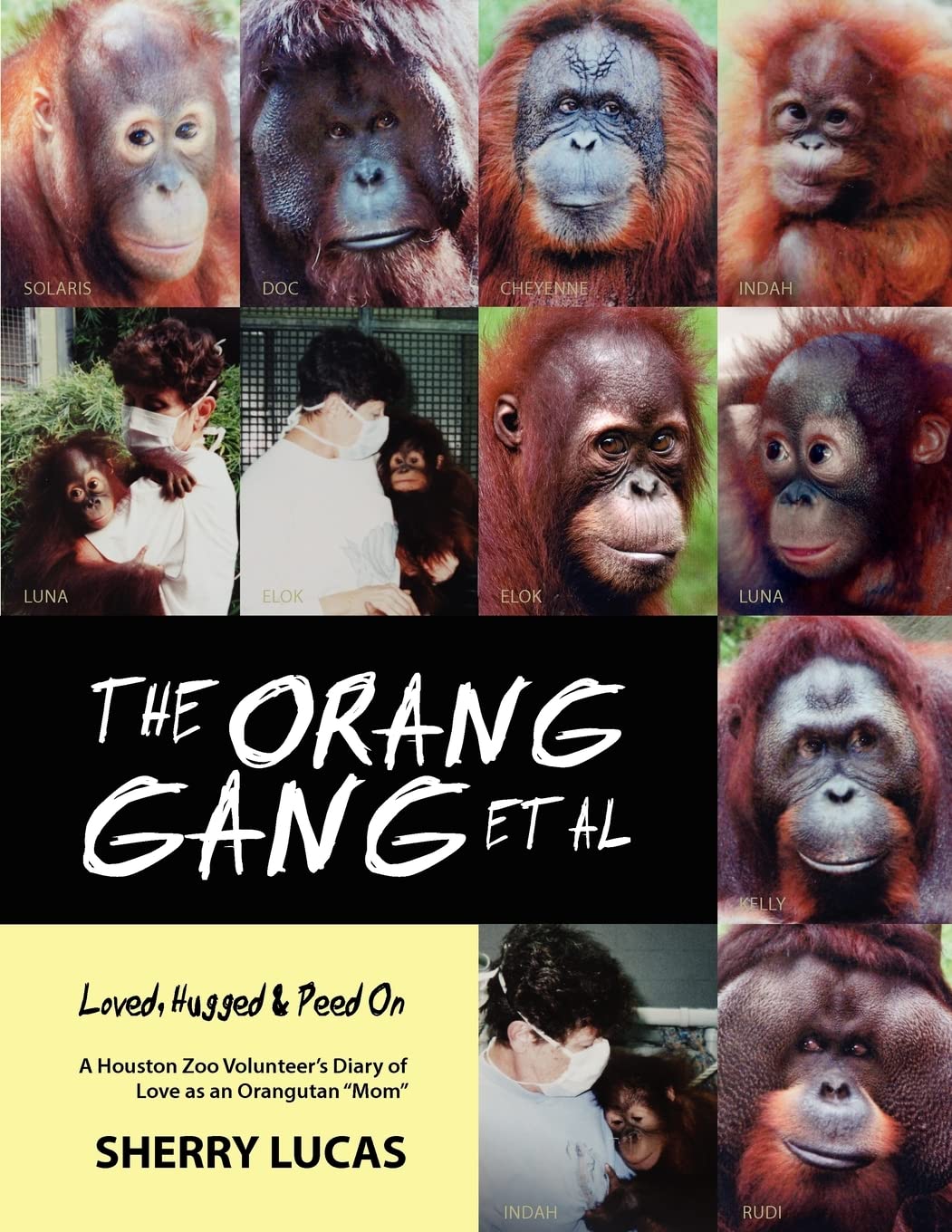 The Orang Gang et al; Loved, Hugged and Peed On: A Houston Zoo Volunteer's Diary of Love as an Orangutan