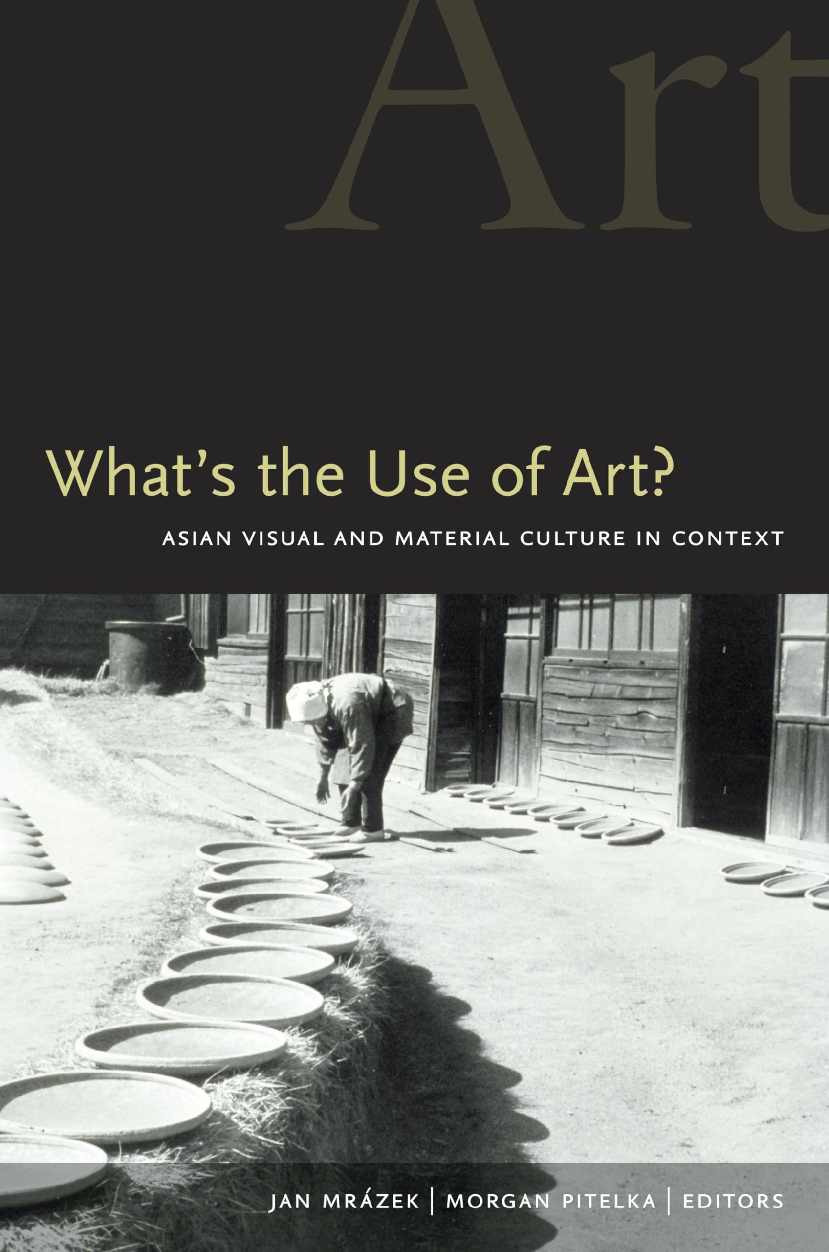 What'S The Use Of Art?: Asian Visual And Material Culture In Context,Used