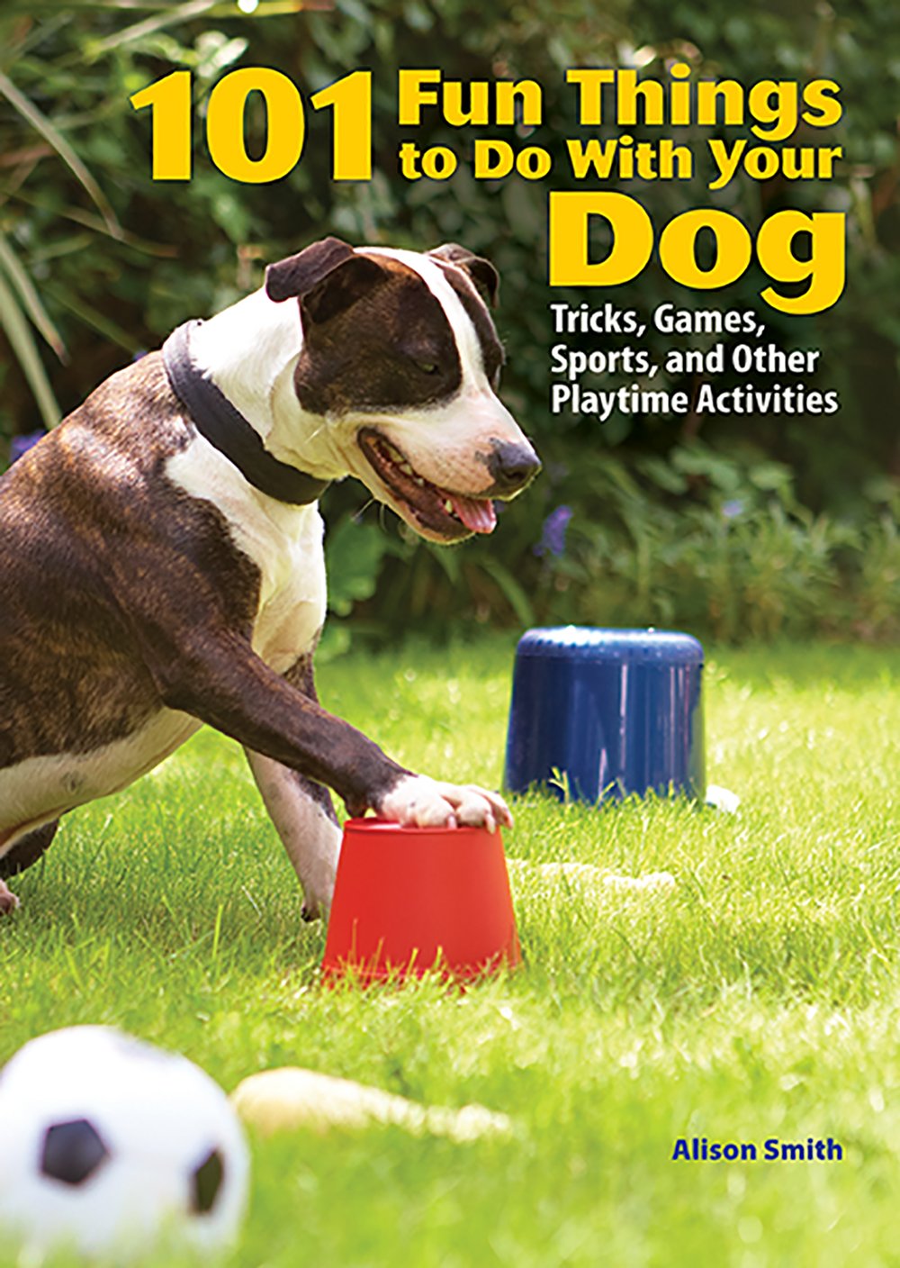 101 Fun Things to Do With Your Dog: Tricks, Games, Sports, and Other Playtime Activities,Used