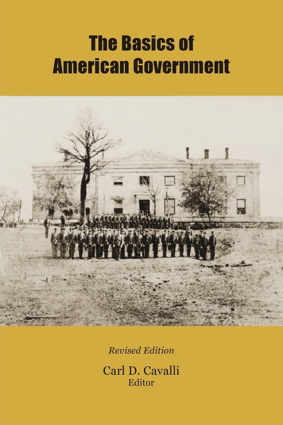 The Basics Of American Government,New