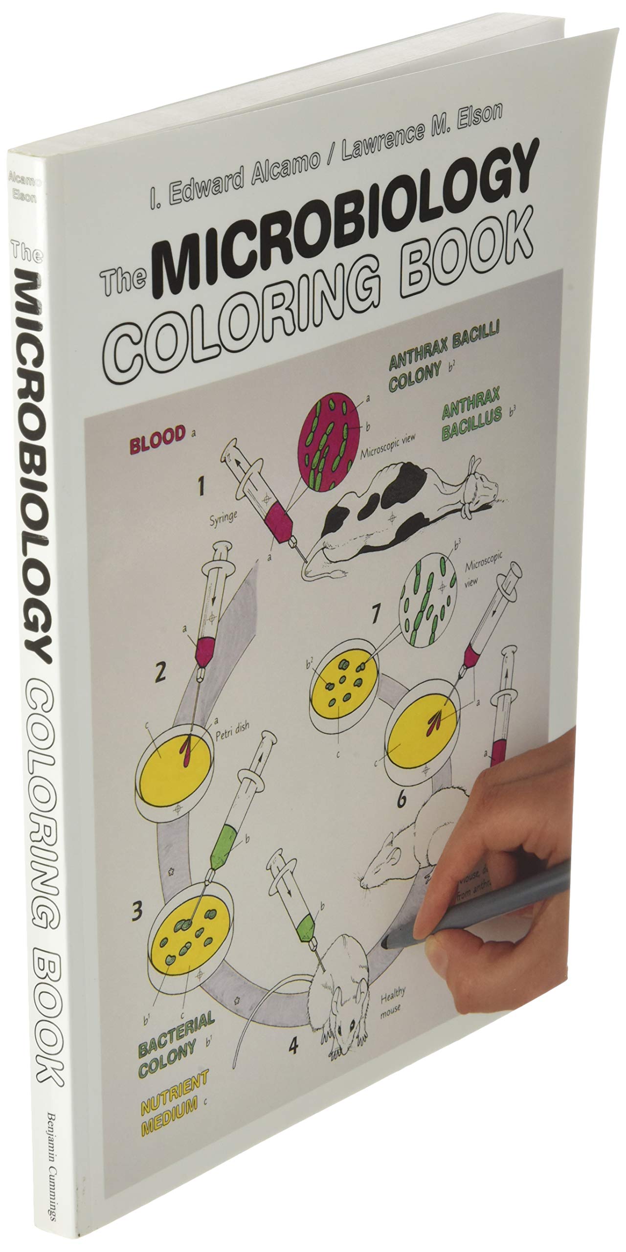 The Microbiology Coloring Book,Used