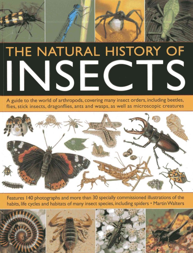 The Natural History Of Insects: A Guide To The World Of Arthropods, Covering Many Insect Orders, Including Beetles, Flies, Stick,Used