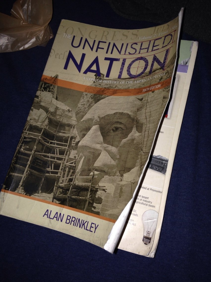 The Unfinished Nation: A Concise History Of The American People, Volume 2,New