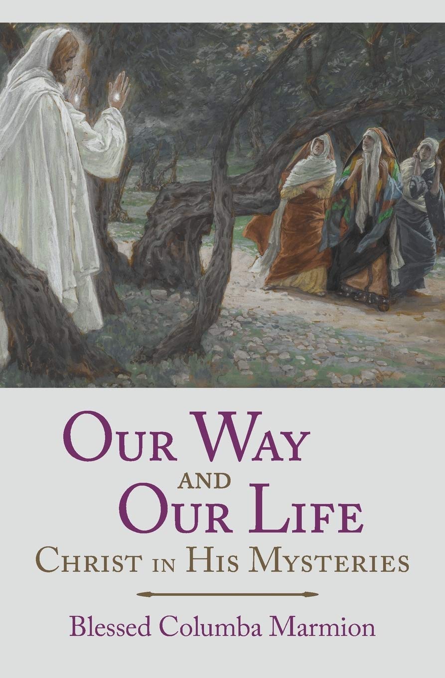 Our Way and Our Life: Christ in His Mysteries,Used