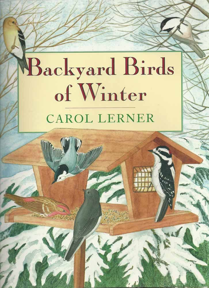Backyard Birds Of Winter,Used
