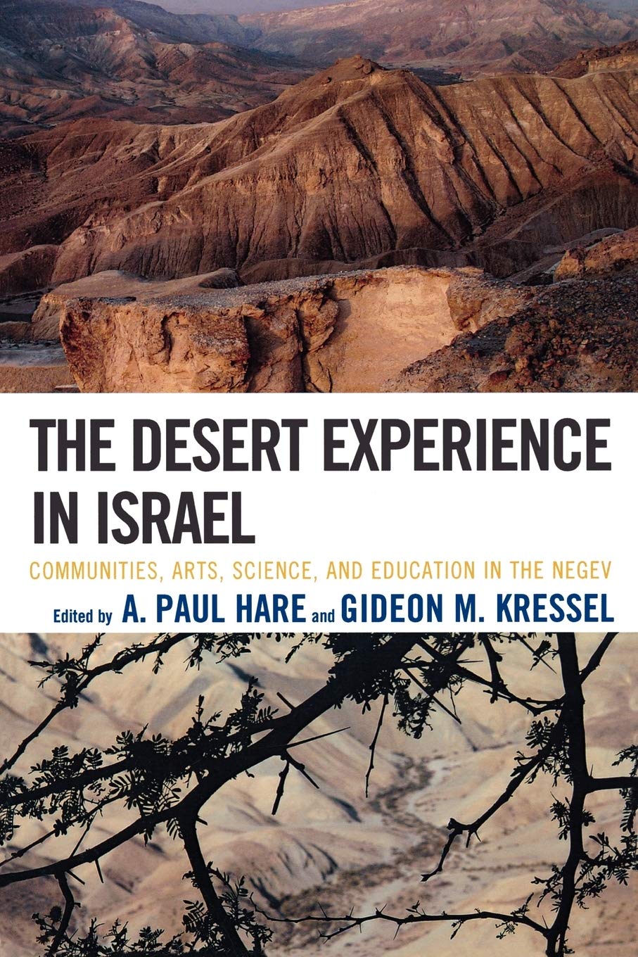 The Desert Experience in Israel: Communities, Arts, Science, and Education in the Negev,Used