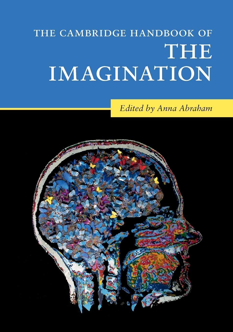 The Cambridge Handbook of the Imagination (Cambridge Handbooks in Psychology),Used