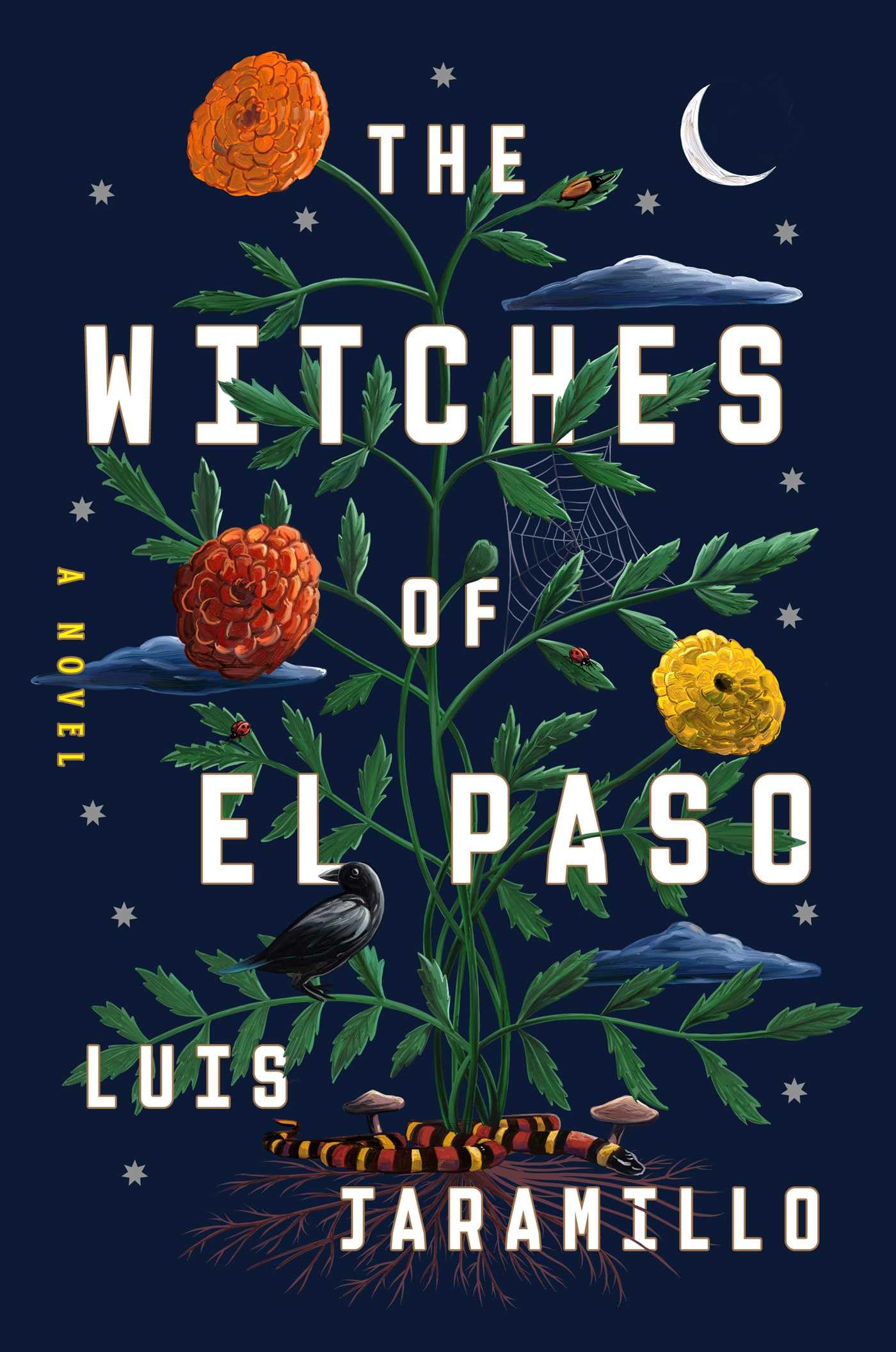 The Witches of El Paso: A Novel,New