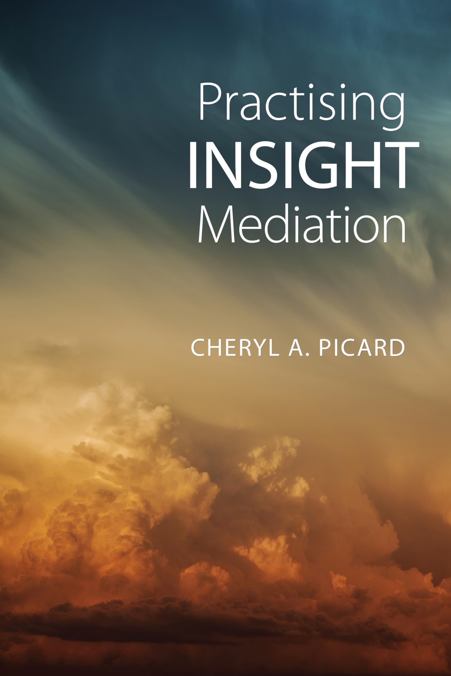 Practising Insight Mediation,Used