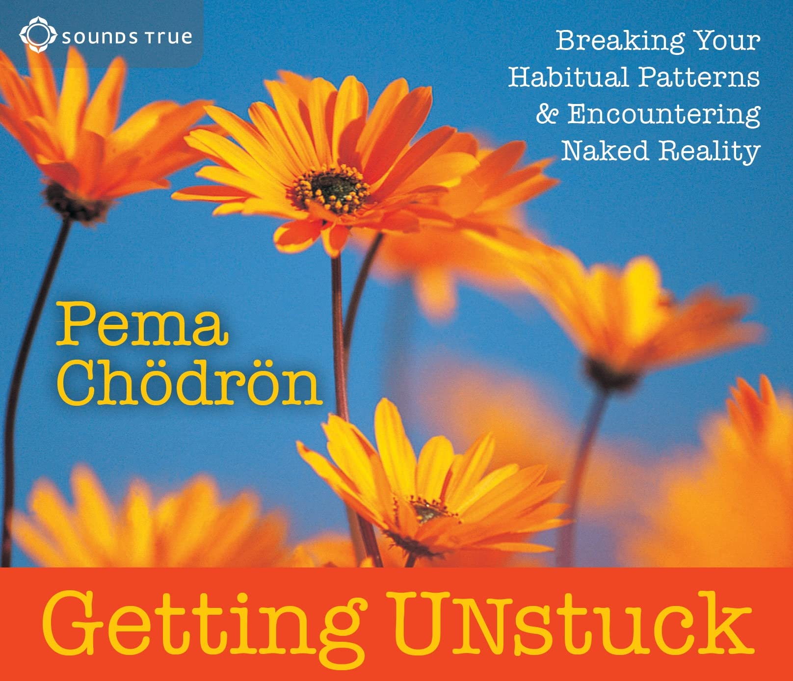 Getting Unstuck: Breaking Your Habitual Patterns And Encountering Naked Reality,New