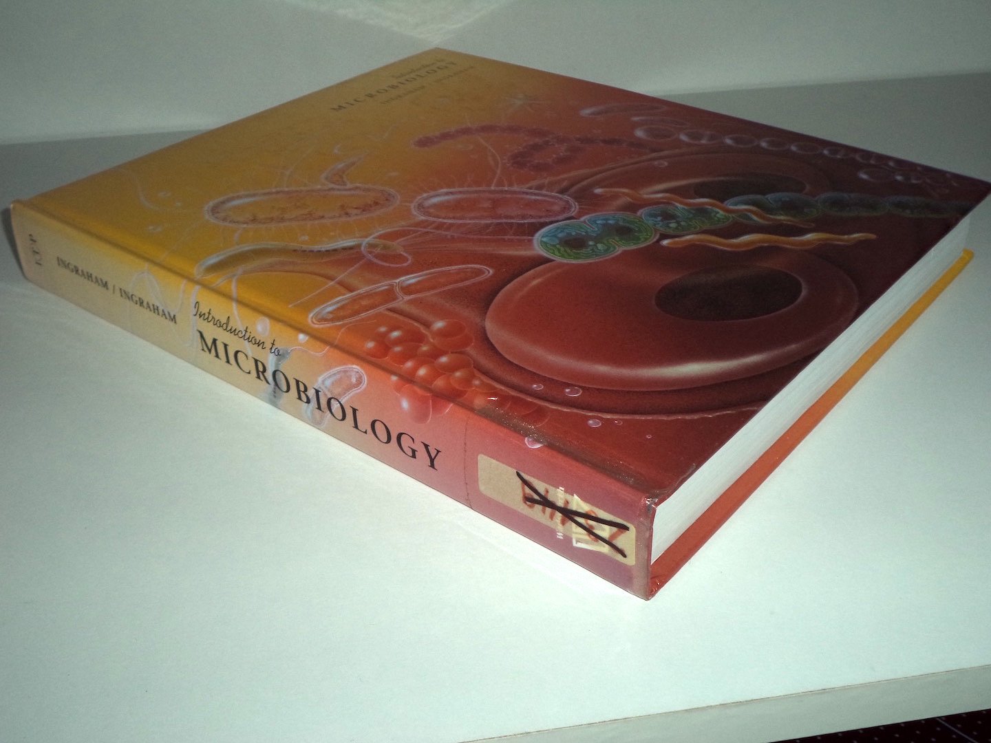 Introduction to Microbiology,Used