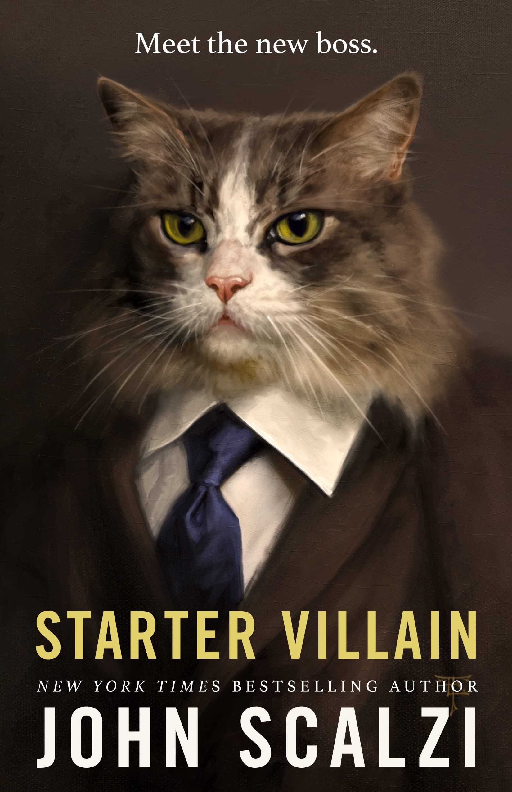Starter Villain,Used