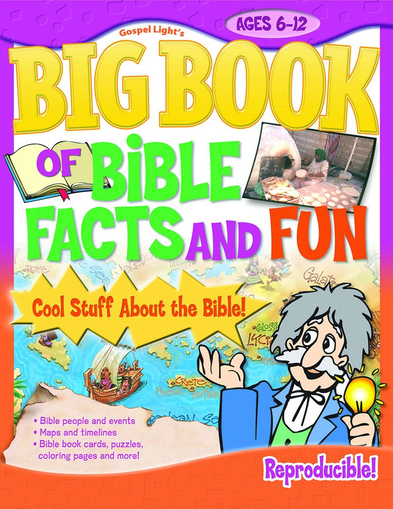 Big Book of Bible Facts and Fun,Used