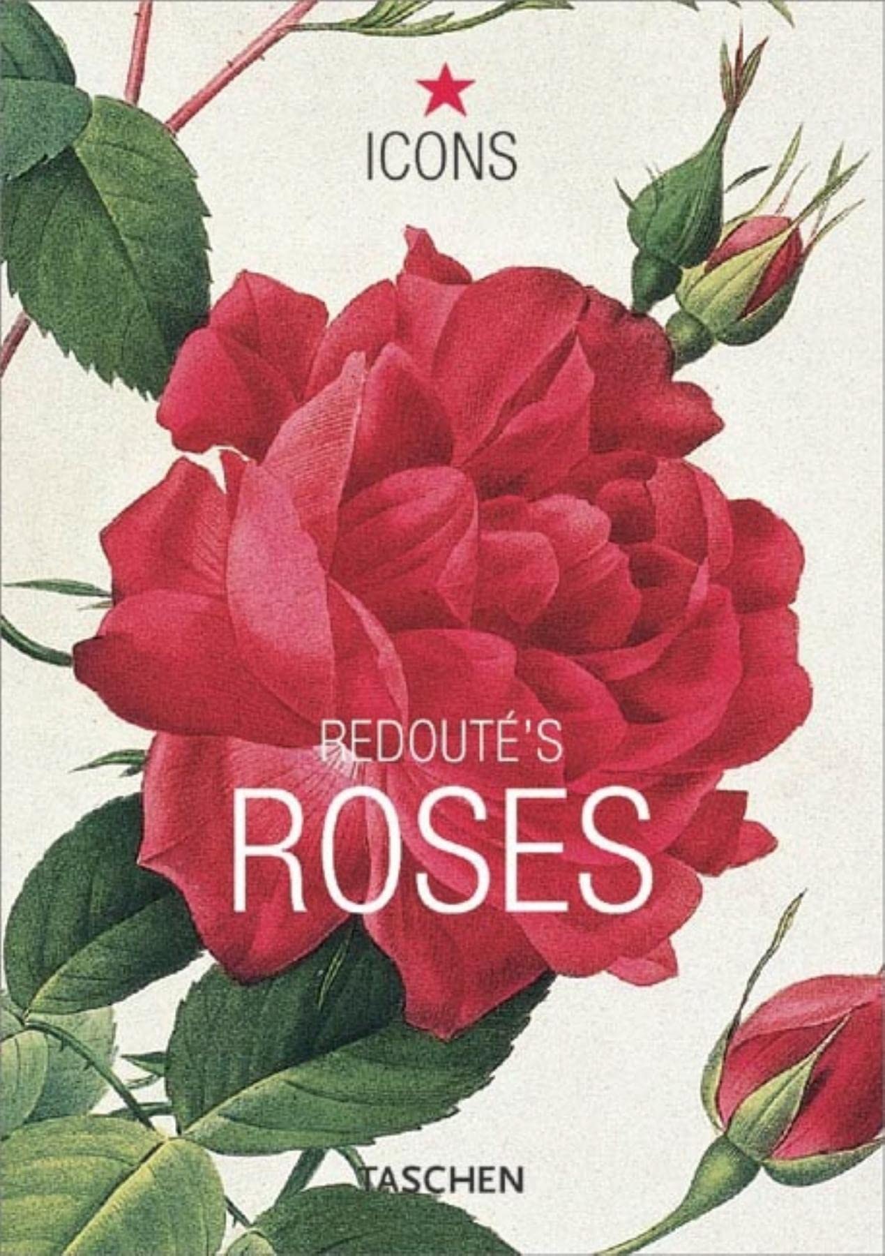 Redoute's Roses,Used