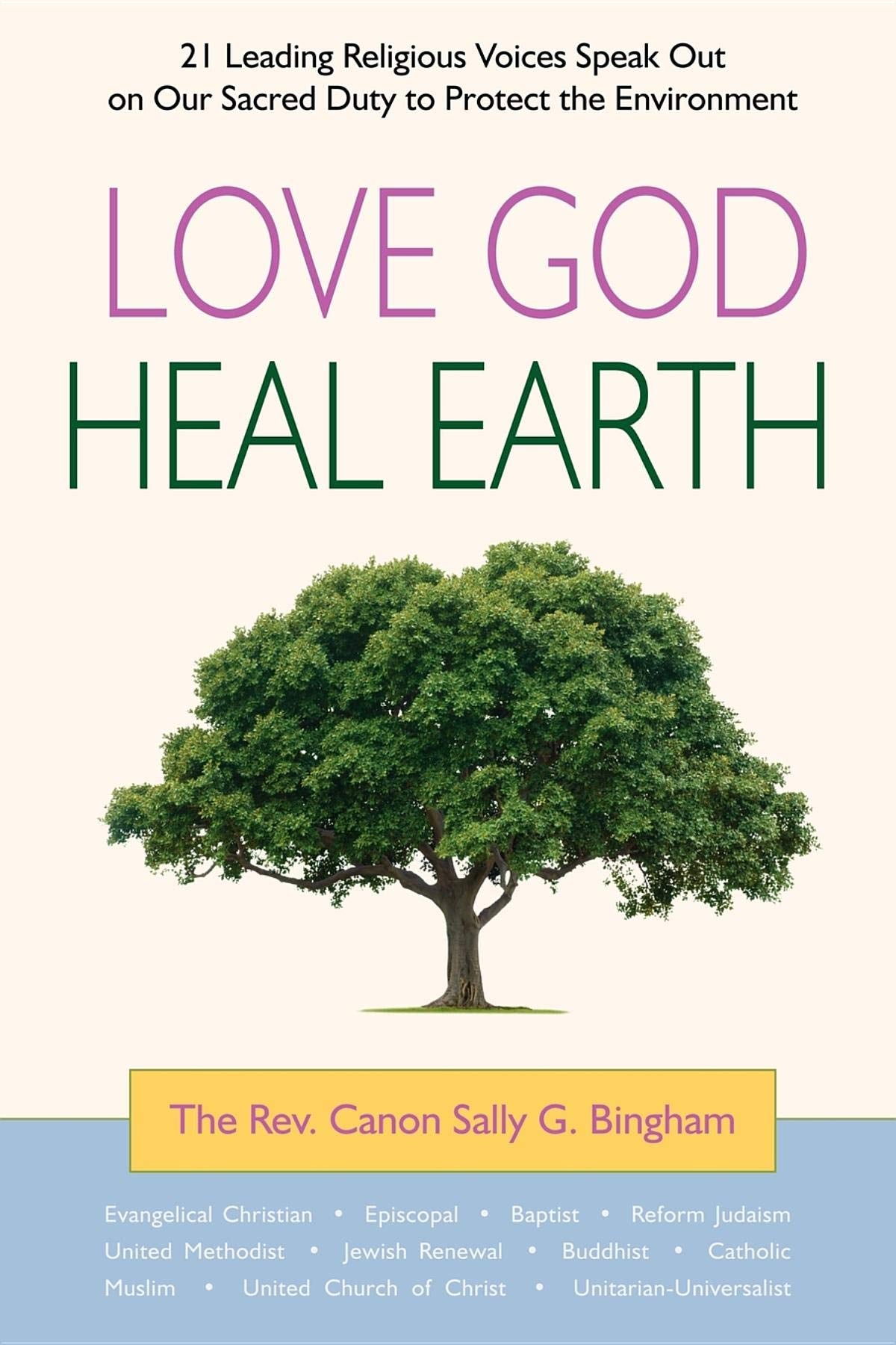 Love God, Heal Earth: 21 Leading Religious Voices Speak Out on Our Sacred Duty to Protect the Environment,Used