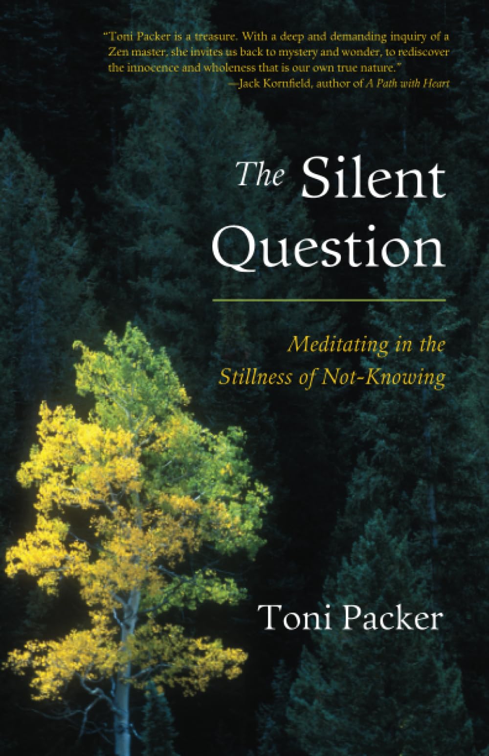 The Silent Question: Meditating in the Stillness of NotKnowing,Used